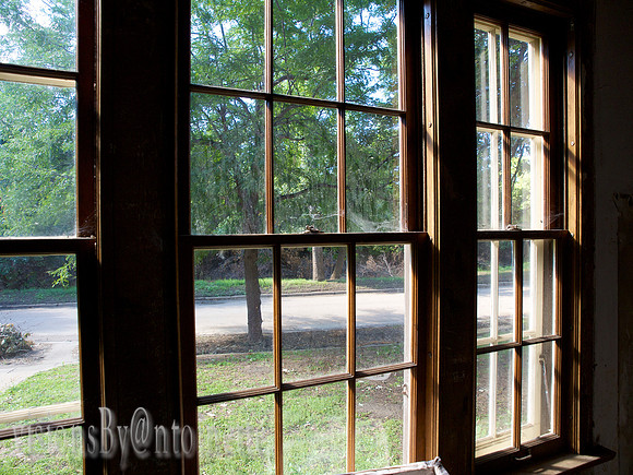 Living room windows...
