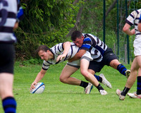 rugby2015