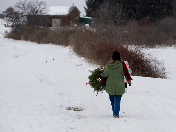 _C060120