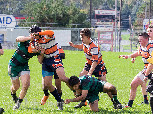 PA138779.jpg