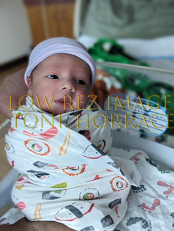 PXL_20230325_233635024.PORTRAIT