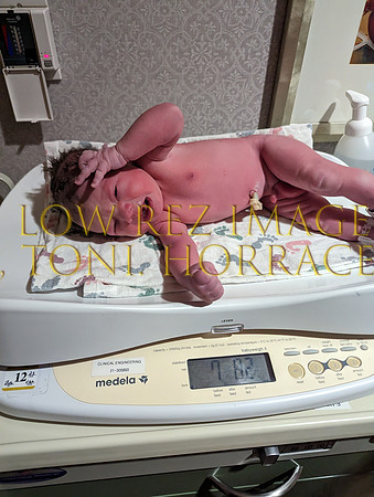 PXL_20230325_103456888.MP