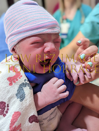 PXL_20230325_084125731.PORTRAIT