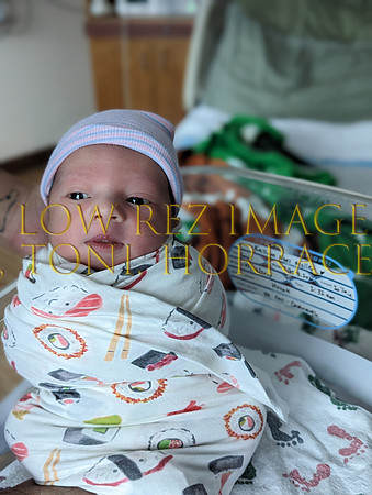 PXL_20230325_233627146.PORTRAIT