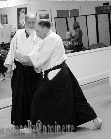 P8174873