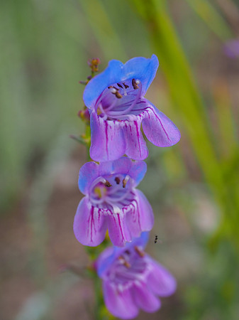 P7081271