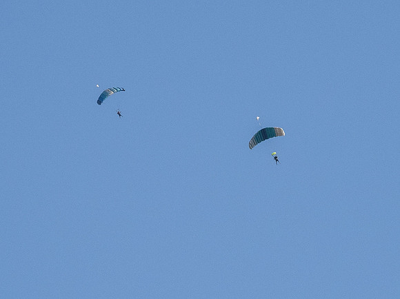 _7040018