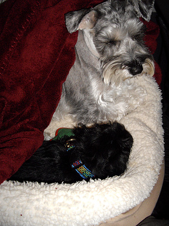 IMGP0085