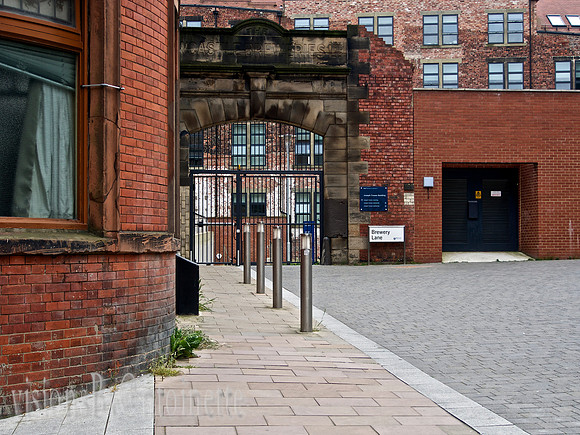 P1019866