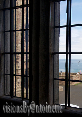 P6257955
