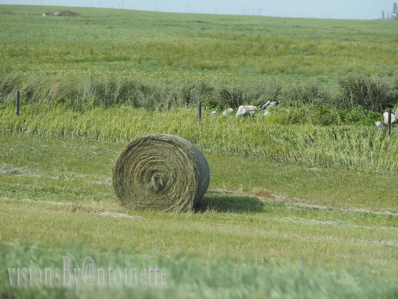 P9020140