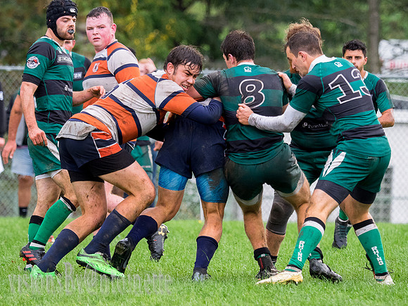 PA139105.jpg