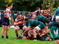PA139147.jpg