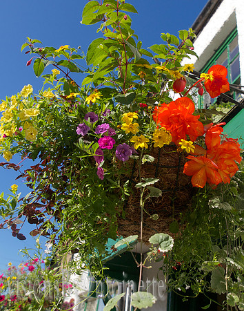 P6247921
