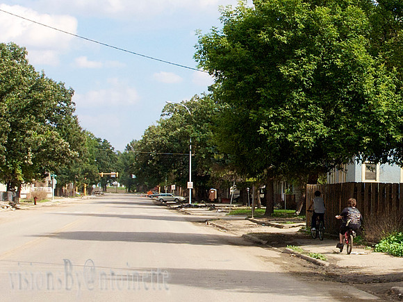 P9029347