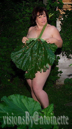 P6291300
