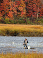 _A170148-Enhanced-NR