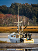 _A170152