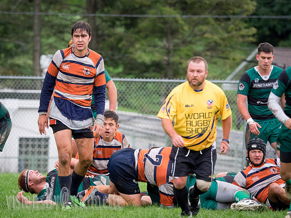 PA139115.jpg