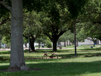 P5260344.jpg