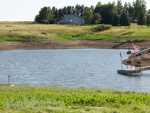 P9029385