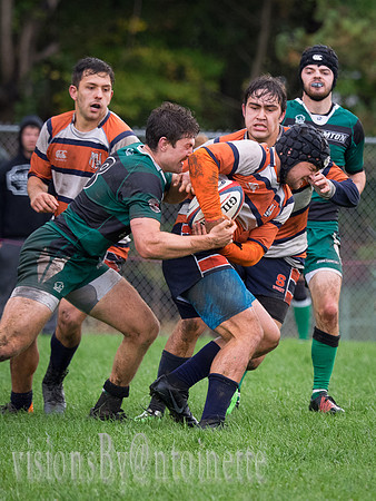 PA139103.jpg