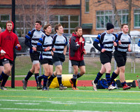 Silverbacks2015