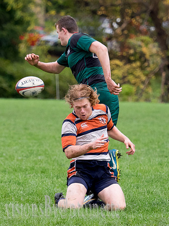 PA139150.jpg