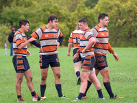 PA139175.jpg