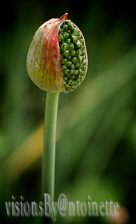 P6247820