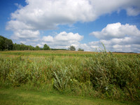 P1014231