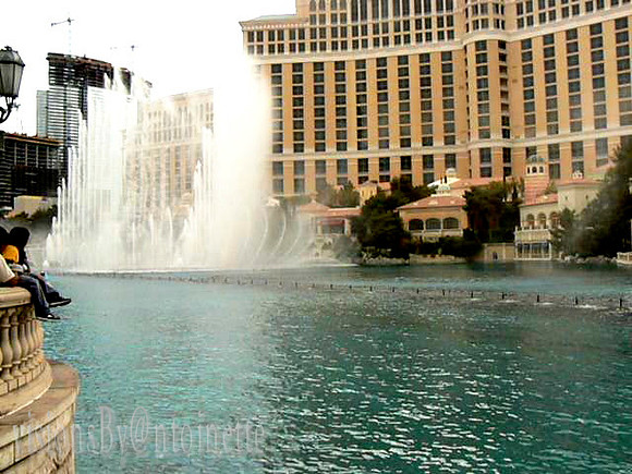 2008-05 - 313