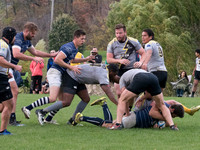PA286246.jpg