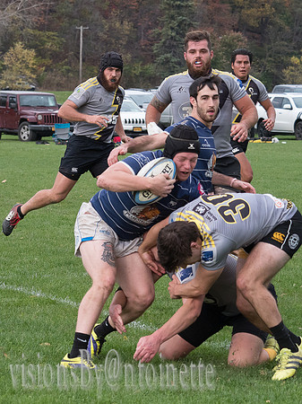 PA286312.jpg