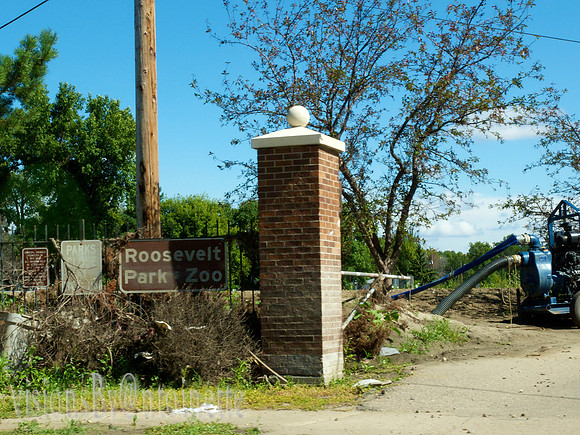 P9029077