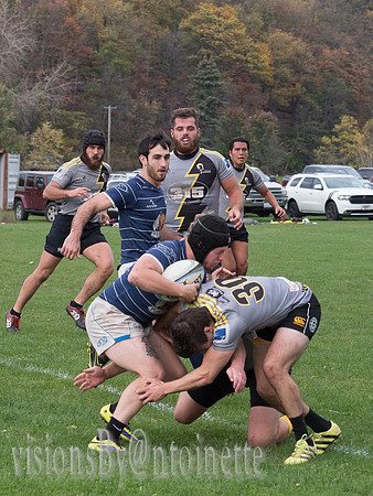 PA286311.jpg