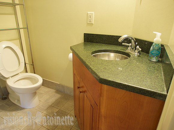 downstairs bathroom
