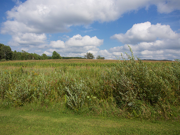 P1014232