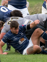 PA286259.jpg