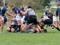 PA286274.jpg