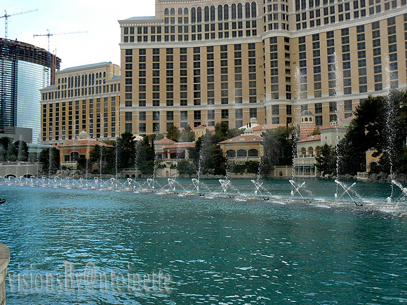 2008-05 - 314